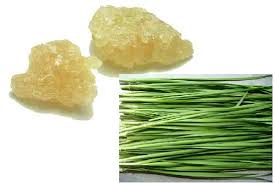 dinhduonghoc.com - Giá trị dinh dưỡng của cây hẹ